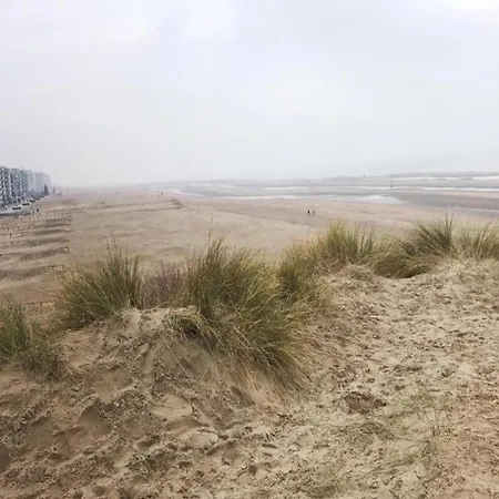 In Near The Holiday home Koksijde